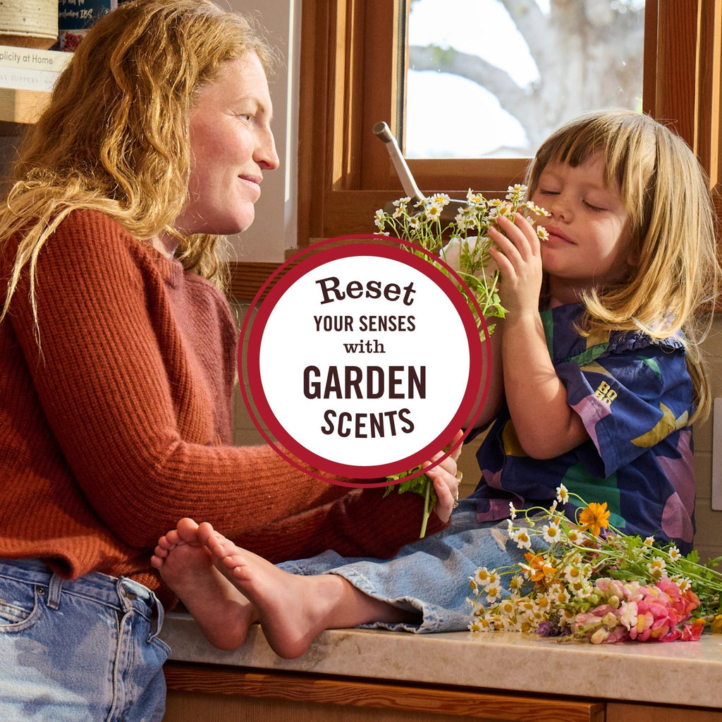 Mrs. Meyer's Snowdrop Room Freshener